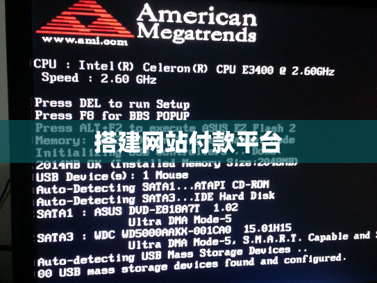 搭建网站付款平台