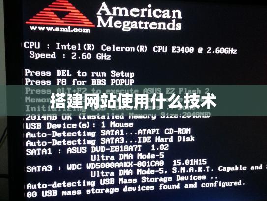 搭建网站使用什么技术