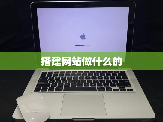 搭建网站做什么的
