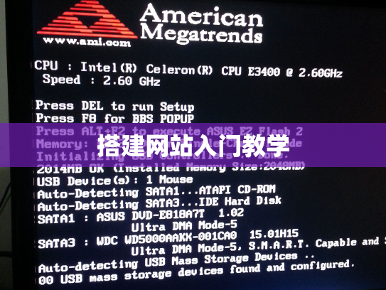 搭建网站入门教学