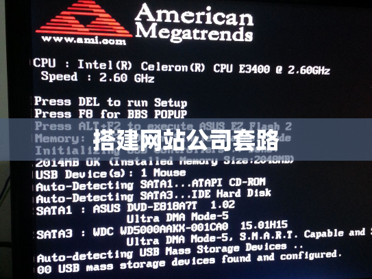搭建网站公司套路