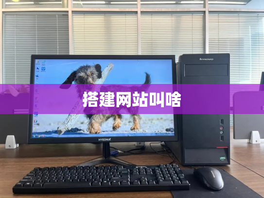 搭建网站叫啥