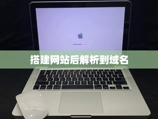 搭建网站后解析到域名