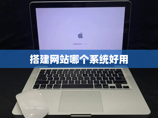 搭建网站哪个系统好用