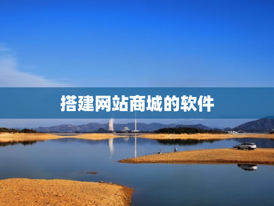 搭建网站商城的软件