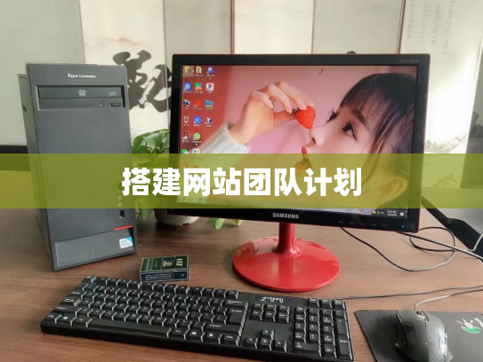搭建网站团队计划