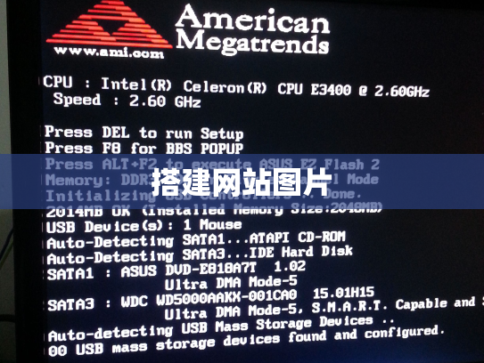 搭建网站图片