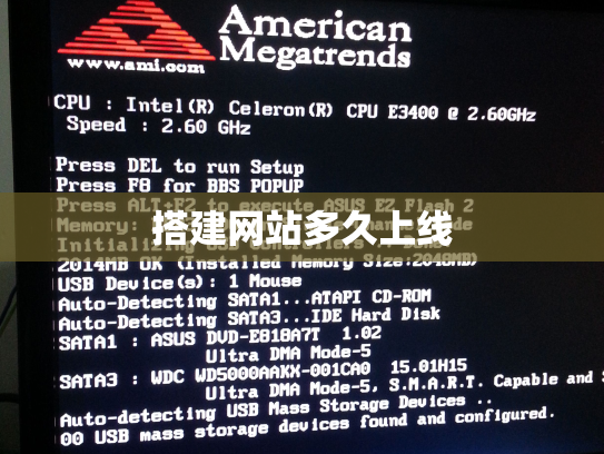 搭建网站多久上线