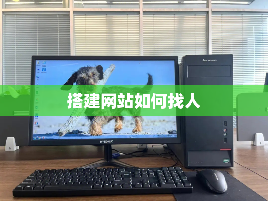 搭建网站如何找人
