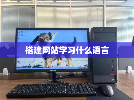搭建网站学习什么语言