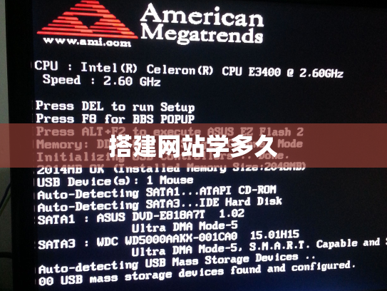 搭建网站学多久