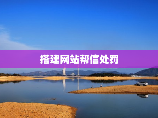 搭建网站帮信处罚