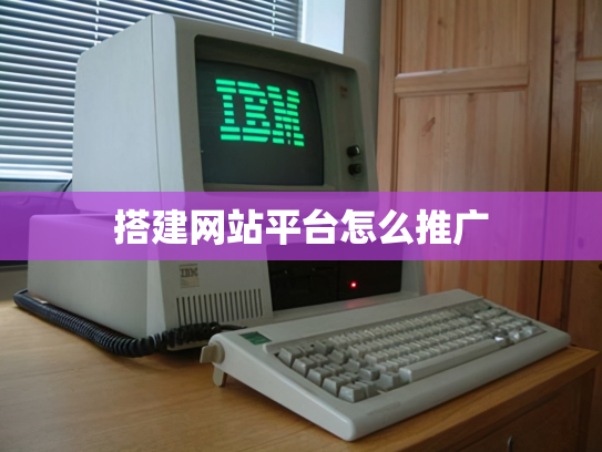 搭建网站平台怎么推广