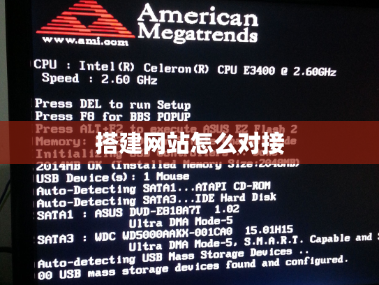 搭建网站怎么对接