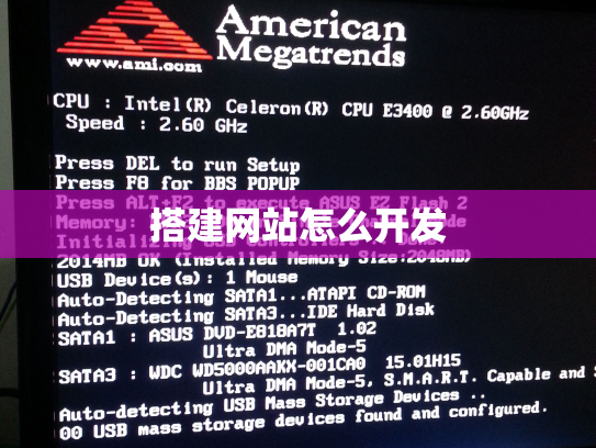 搭建网站怎么开发