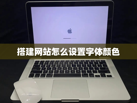 搭建网站怎么设置字体颜色