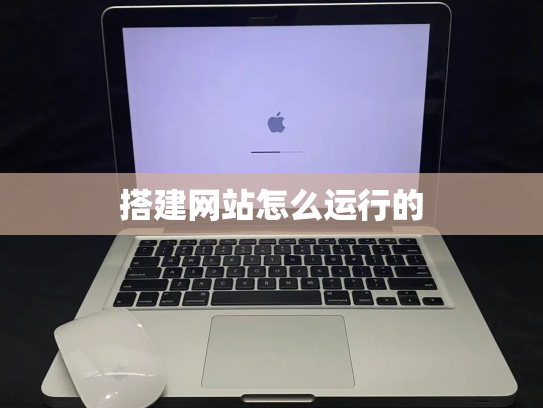 搭建网站怎么运行的