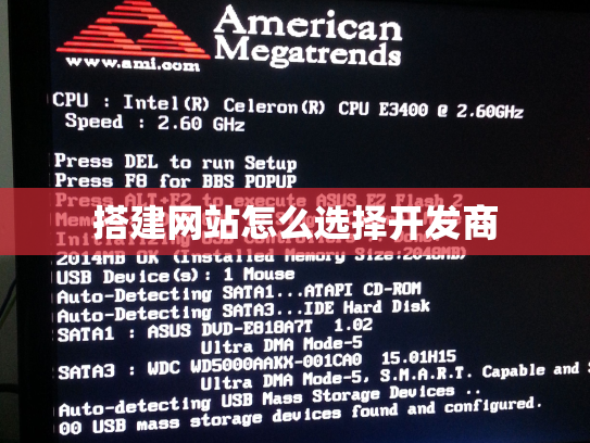 搭建网站怎么选择开发商