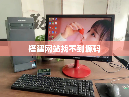 搭建网站找不到源码