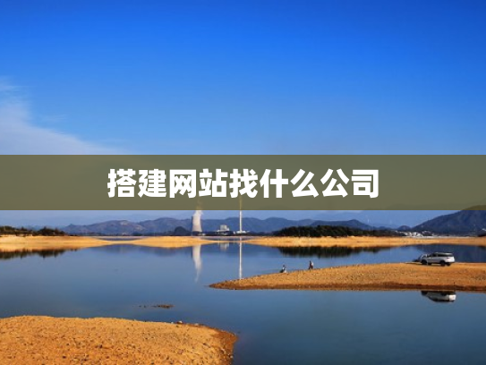 搭建网站找什么公司