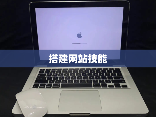 搭建网站技能