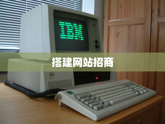 搭建网站招商