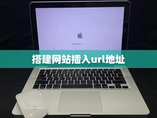 搭建网站插入url地址