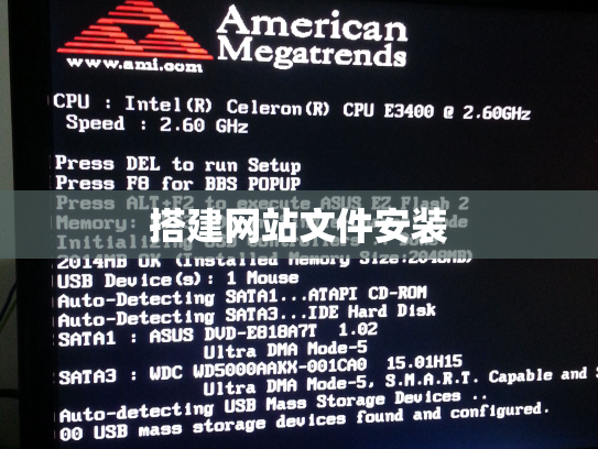 搭建网站文件安装