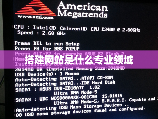 搭建网站是什么专业领域
