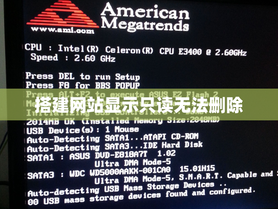 搭建网站显示只读无法删除
