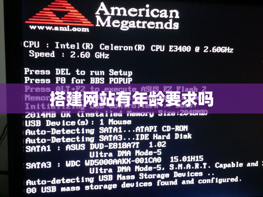 搭建网站有年龄要求吗