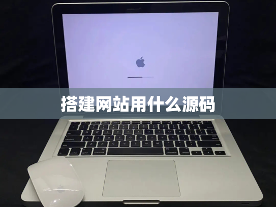搭建网站用什么源码