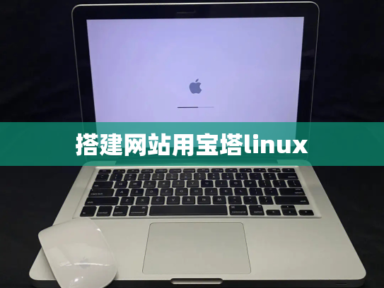 搭建网站用宝塔linux