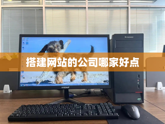 搭建网站的公司哪家好点