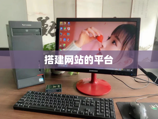 搭建网站的平台