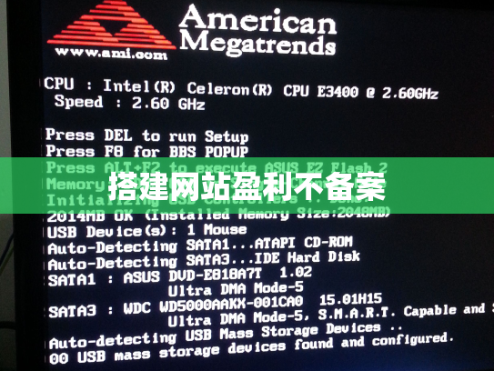 搭建网站盈利不备案