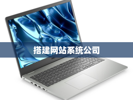 搭建网站系统公司