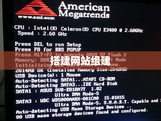 搭建网站组建