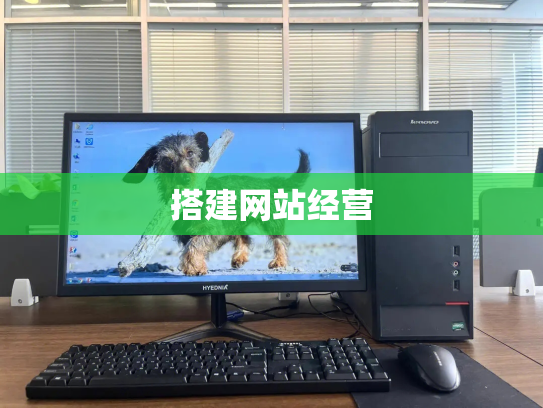 搭建网站经营