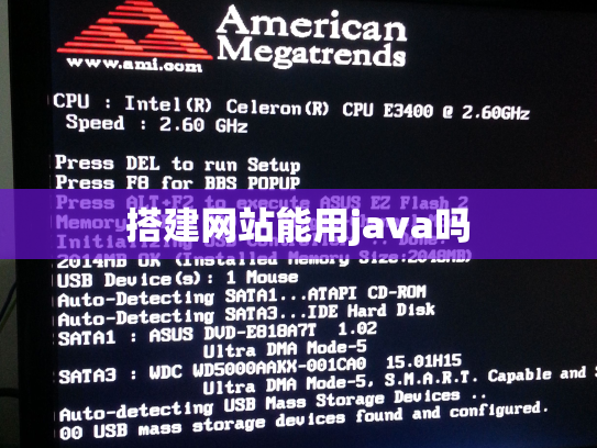 搭建网站能用java吗