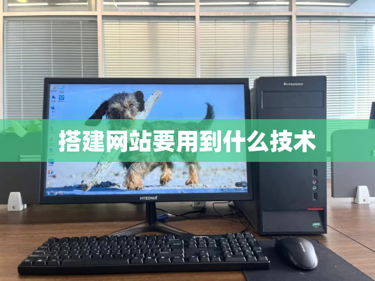 搭建网站要用到什么技术