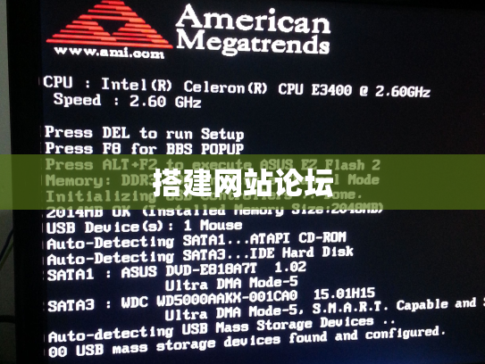 搭建网站论坛