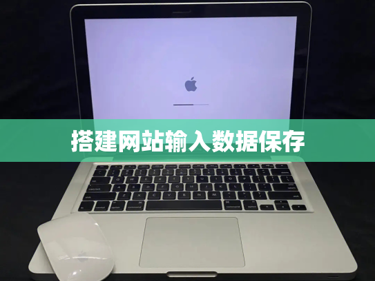 搭建网站输入数据保存