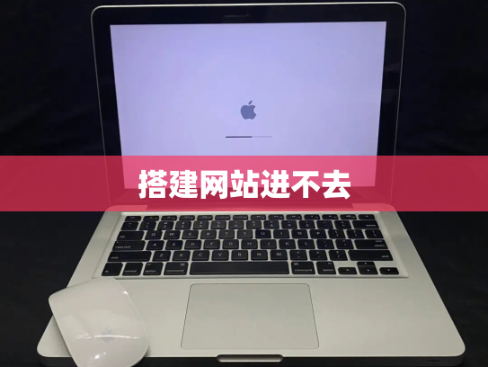搭建网站进不去