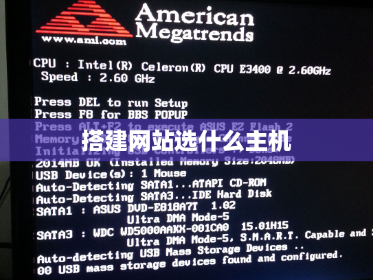 搭建网站选什么主机
