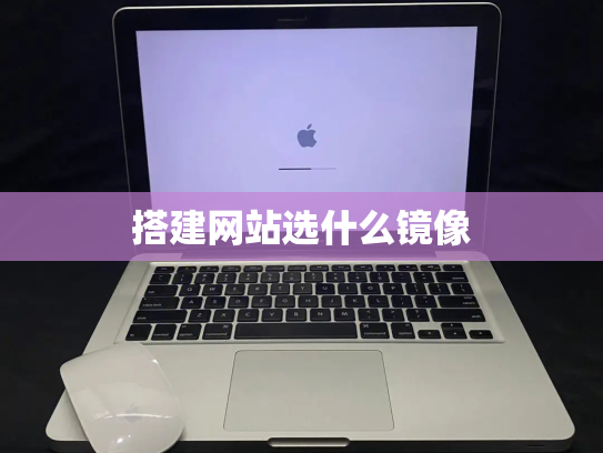 搭建网站选什么镜像