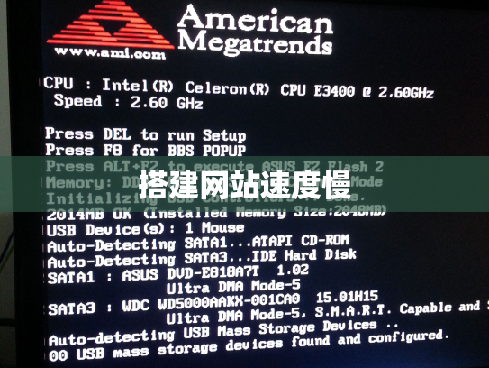 搭建网站速度慢