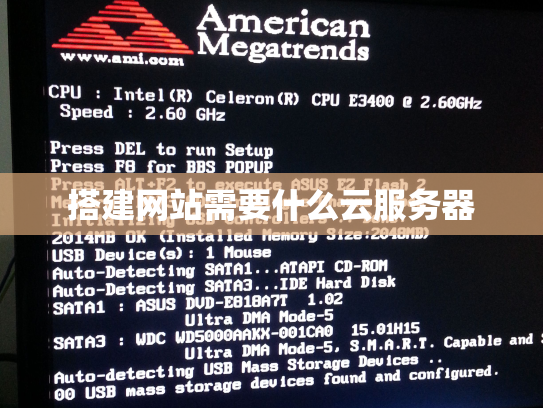 搭建网站需要什么云服务器
