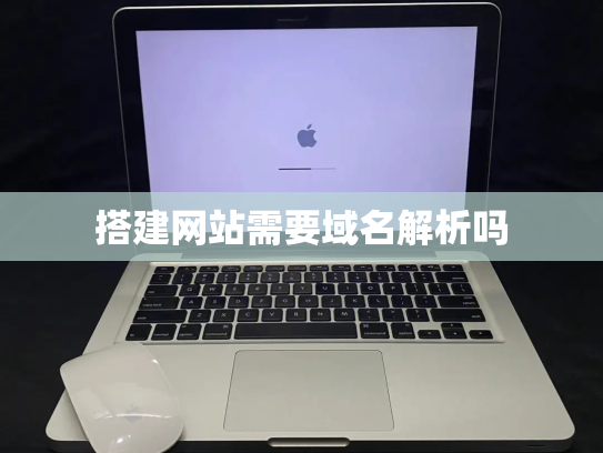 搭建网站需要域名解析吗