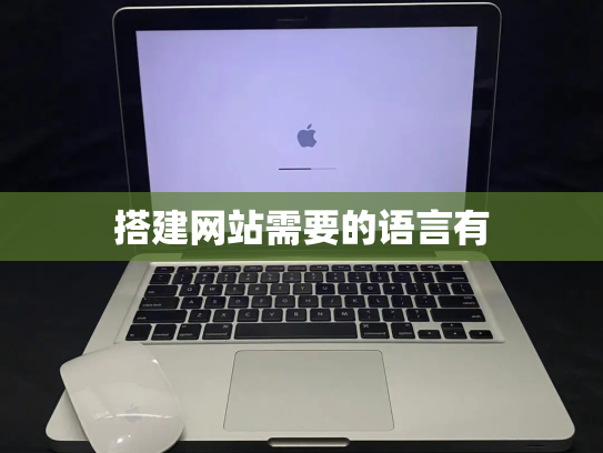 搭建网站需要的语言有